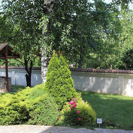 Hotel Radi Sapareva Banya Exterior foto