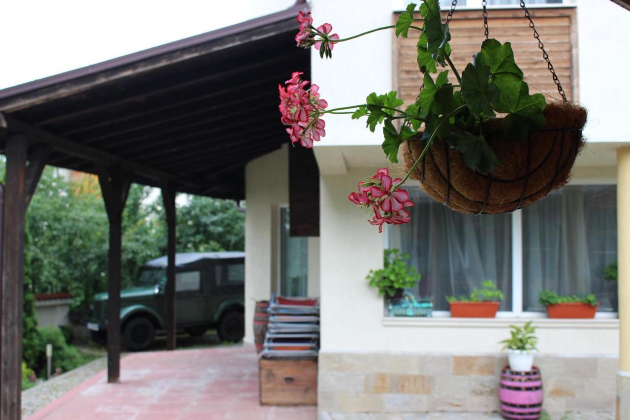 Hotel Radi Sapareva Banya Exterior foto