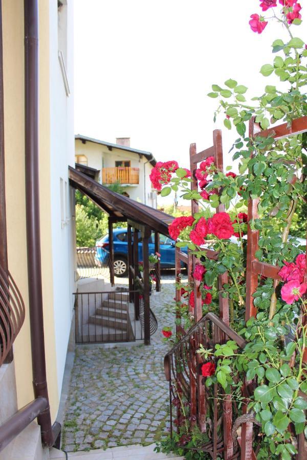 Hotel Radi Sapareva Banya Exterior foto